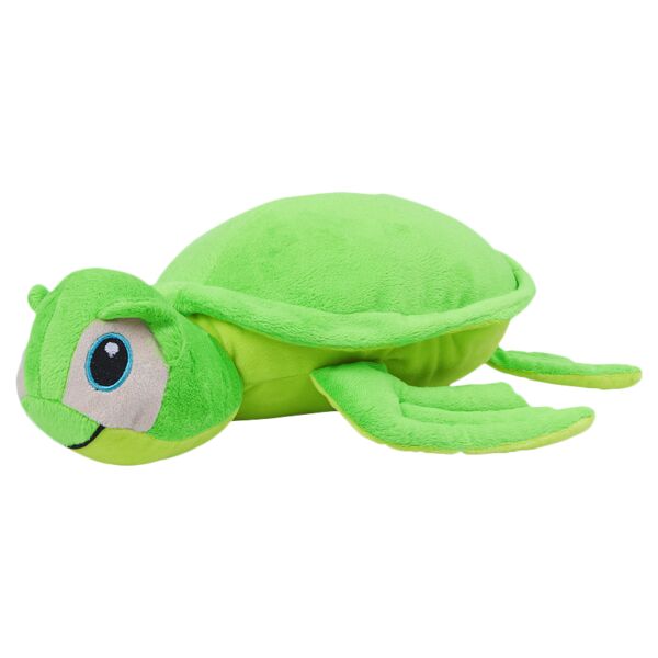 Zippie turtle Thumbnail